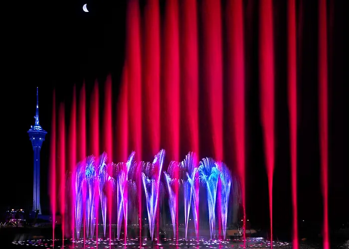 Wynn